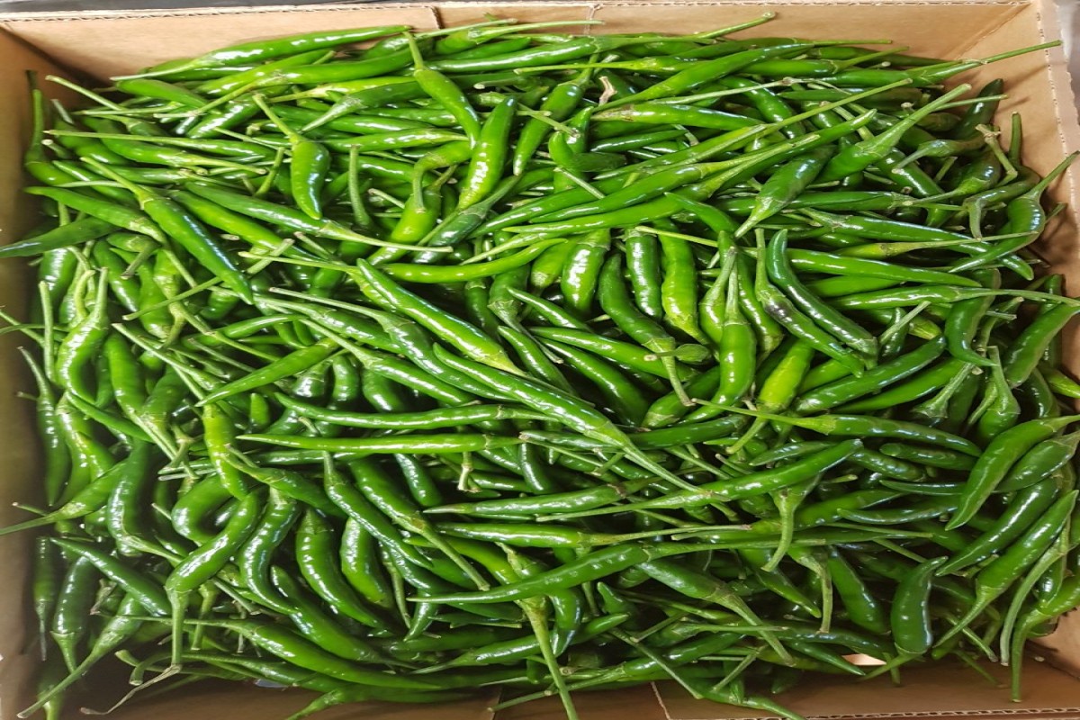 Cabai Hijau from Uganda