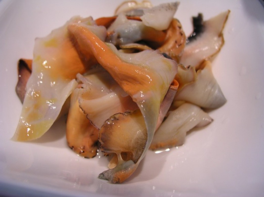 Conch from Saint Vincent and the Grenadines