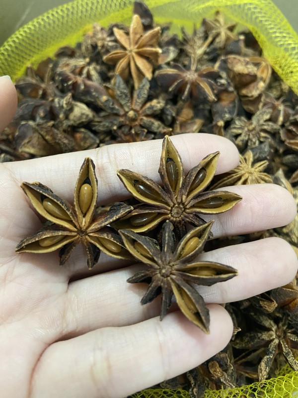Bunga Lawang from Vietnam
