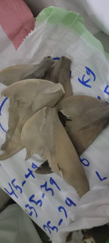Seafoods from Yemen