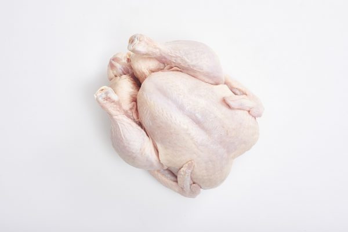 Poulet from Afrique du Sud