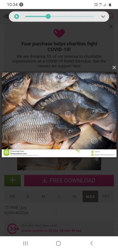Mag Fishers from Südafrika