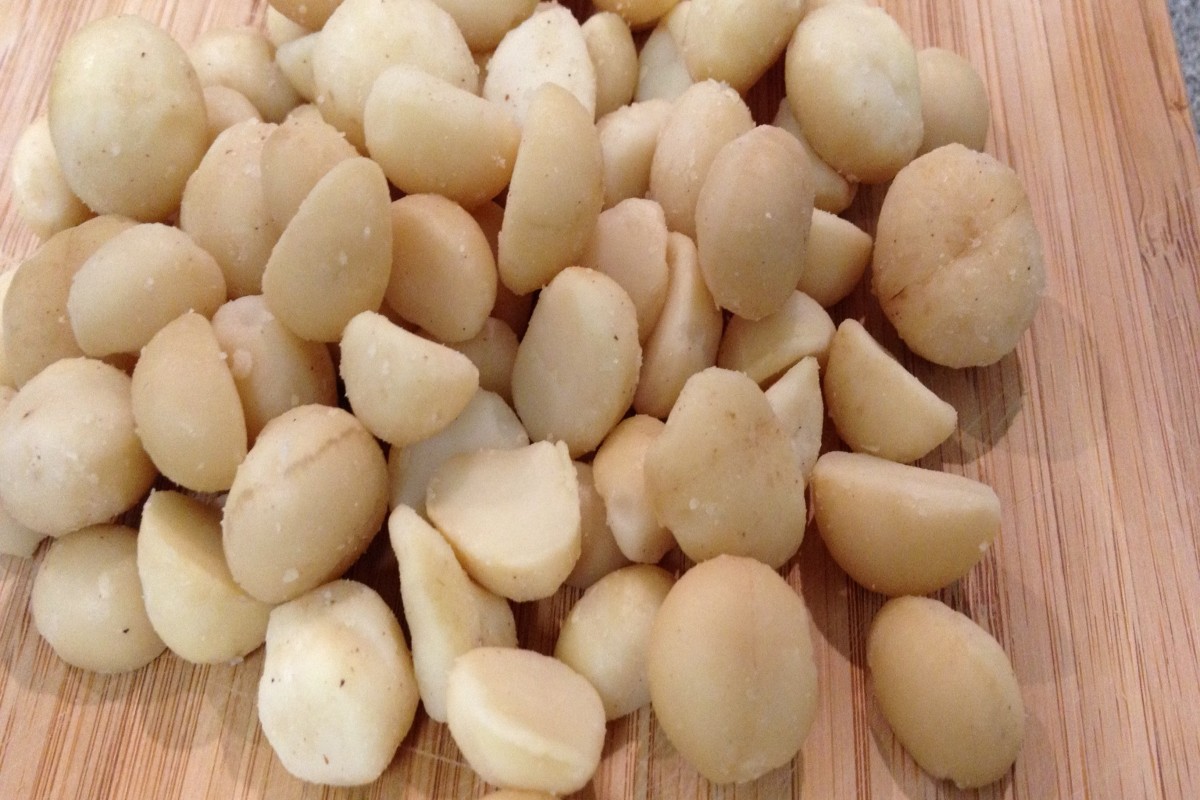 Kacang Macadamia, Mentah from Afrika Selatan