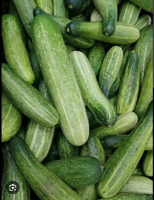 Cucumber from Zambia