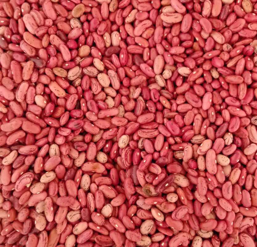 Beans from Zambia