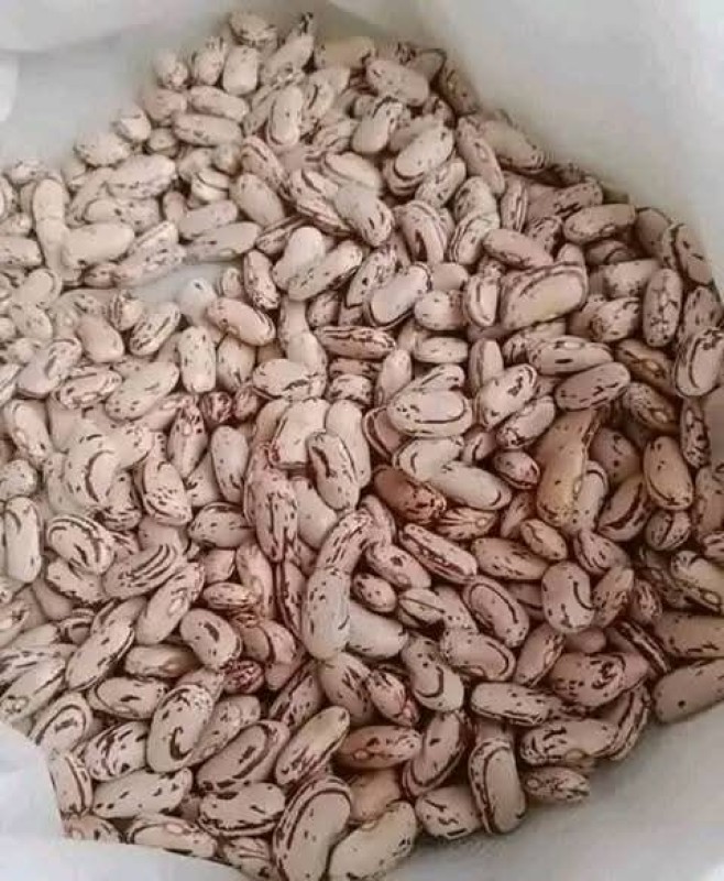 Sugar beans from Zambia