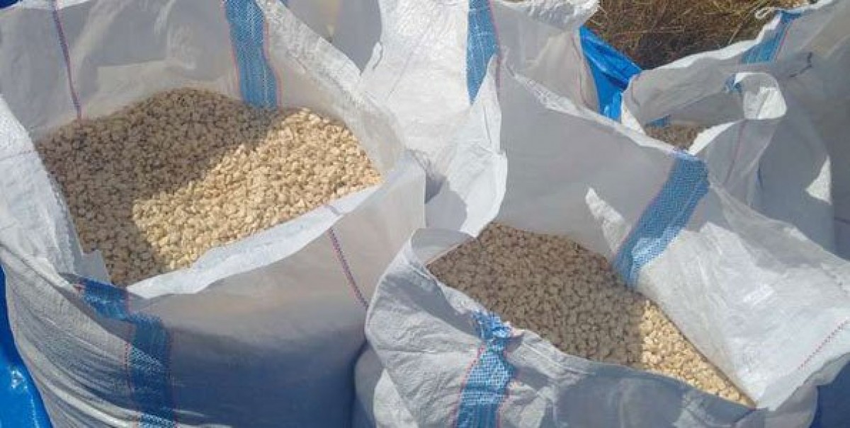 Maize from Zambia