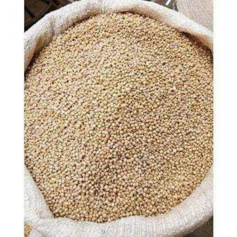 Sorghum from Zambia
