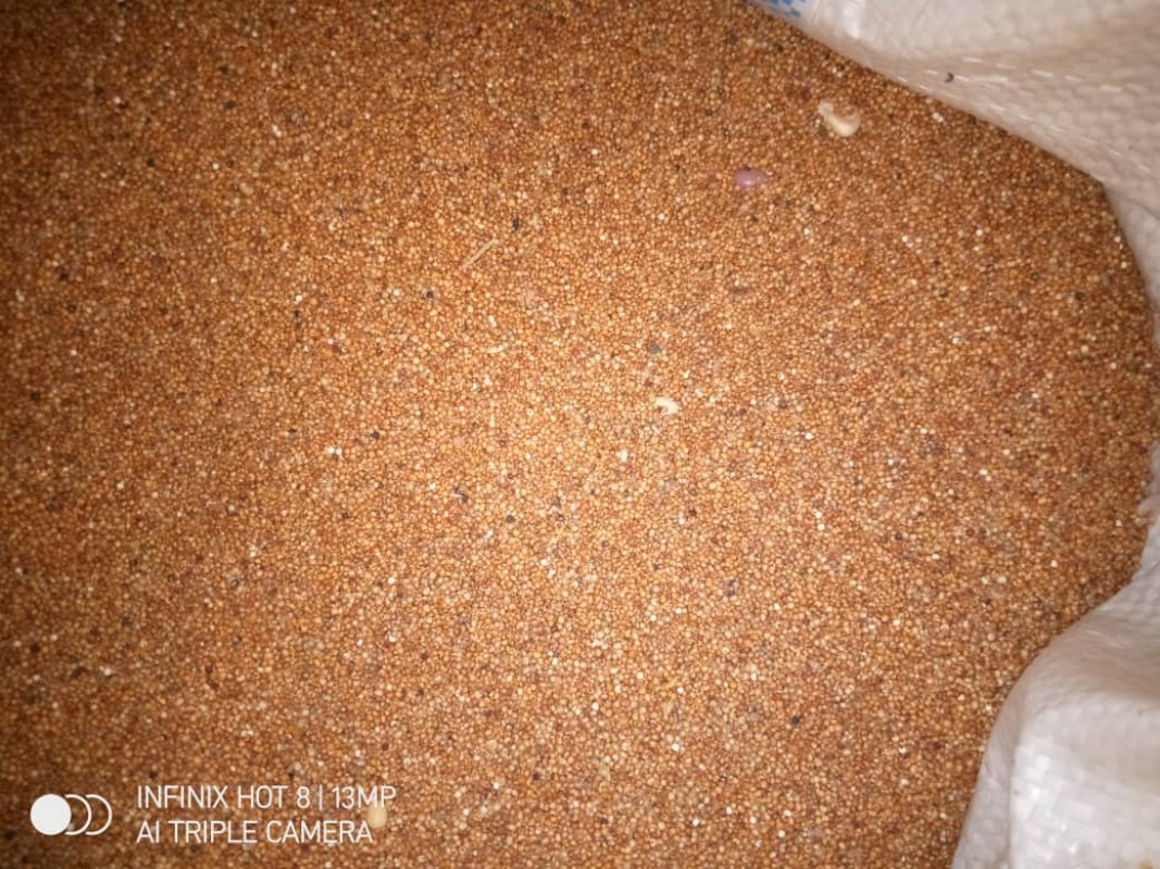 Millet from Zambia