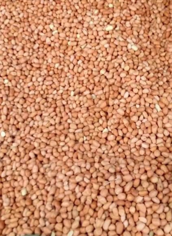 Arachides from Zambie
