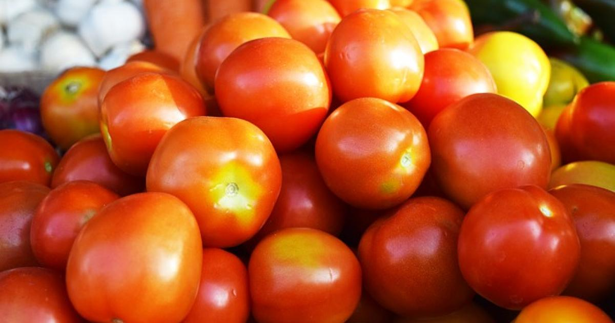 tomatoes from Zimbabwe