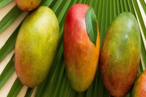 Tommy Atkins Mango from Brazil