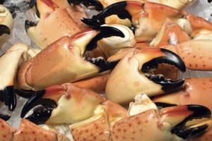 Kepiting Batu from Bahama