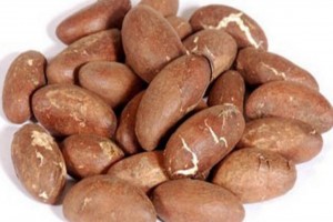 Biji Kola Pahit from Kamerun