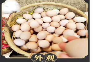 Uova from Cina