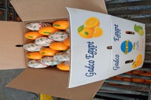 Oranges from Égypte