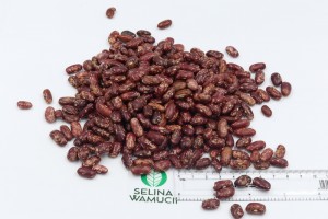 Frijoles rojos moteados from Etiopía
