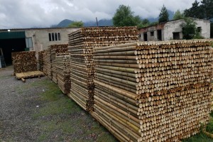 Moso bamboo poles, rods, canes, sticks, panels from Georgia