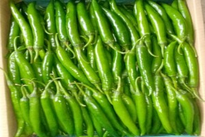Chilli Pepper from Ghana