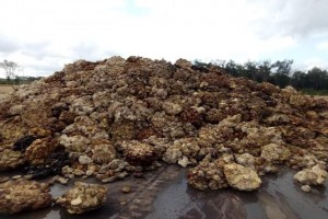 Natural Rubber from Ghana