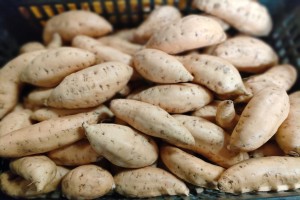 Cilembu Honey Sweet Potatoes from Indonesia