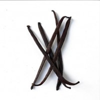 Vanilla Beans from Indonesia