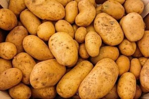 Pomme de terre from Inde