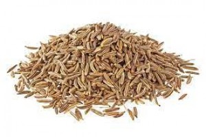 biji jintan from India