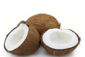 Coco de Pollachi from India