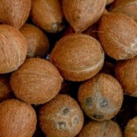 Coco DE descascarillado from India