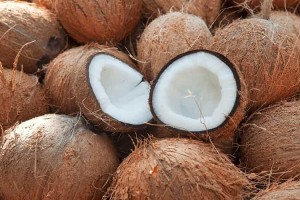 Coconuts from India