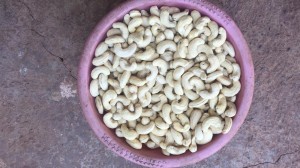 Cashew Nuts from India