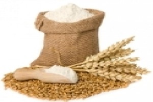 Wheat Flour from India