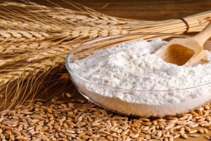 Wheat Flour from India