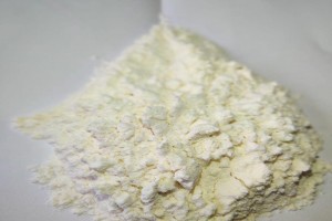Wheat Flour from India