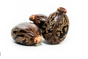 Sementes de mamona from Índia