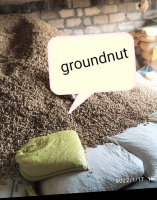 Groundnut from India