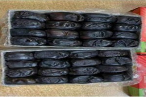 Datteri from Iran