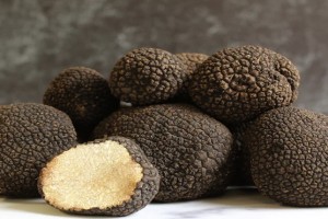 Truffle Hitam from Iran