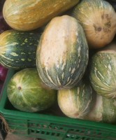 Calabazas from Kenia