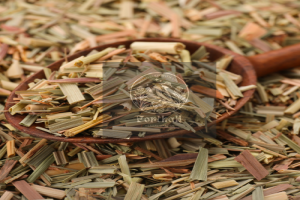 Citronella from Kenya
