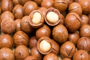Macadamia Nuts from Kenya