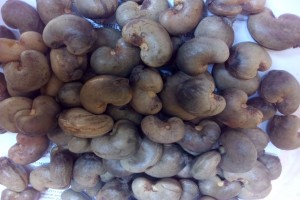 Rauwe cashewnoten from Kenia