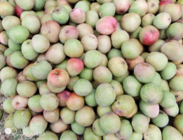 Mangas maçã from Quénia