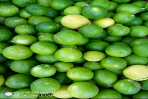 Lime from Kenya