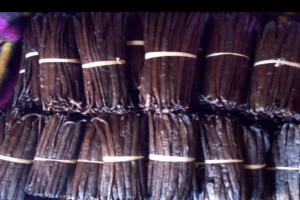 Vaniglia from Kenya