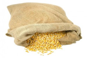 maize/corn from Kenya