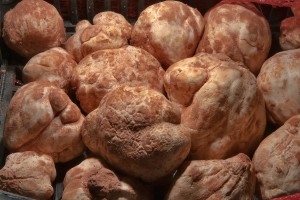 Truffels from Libië