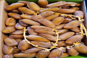 Dadels from Algerije