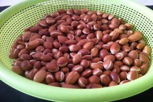 ÓLEO DE ARGAN from Marrocos